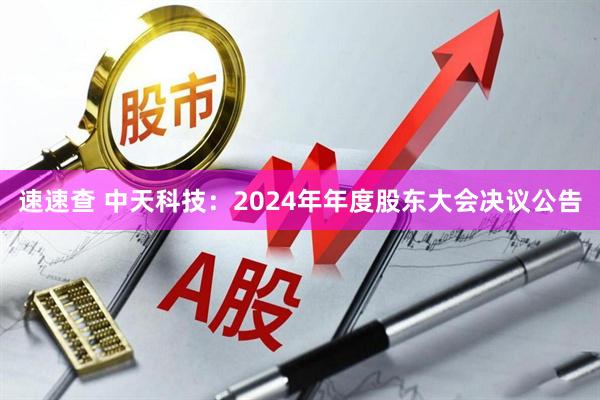 速速查 中天科技：2024年年度股东大会决议公告