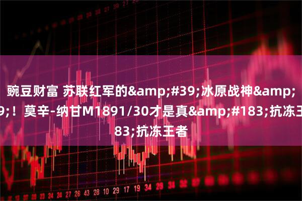 豌豆财富 苏联红军的'冰原战神'!莫辛-纳甘M1891/30才是真·抗冻王者